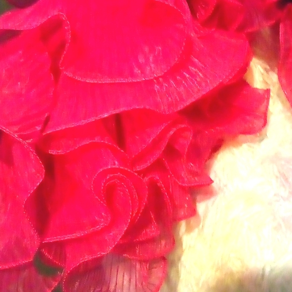 Brand New ruffled jacket - Picture 2 of 2